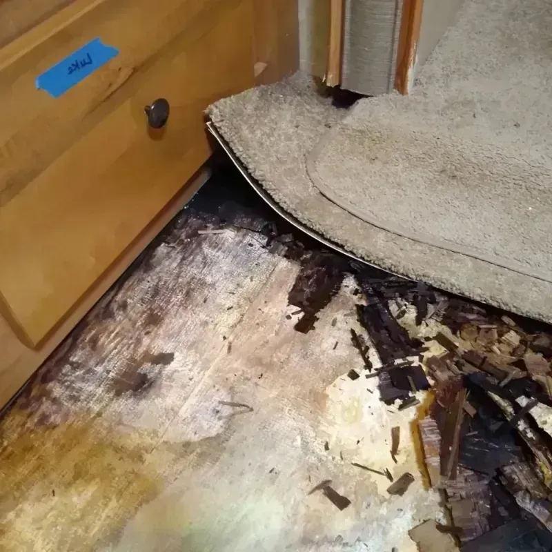 Best Wood Floor Water Damage Service in Medina, NY